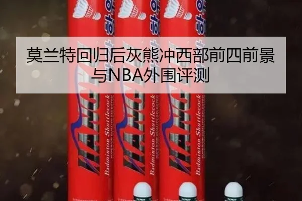 莫兰特回归后灰熊冲西部前四前景与NBA外围评测